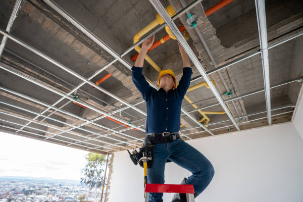 Best Plumbing Repair Near Me  in Casey, IL